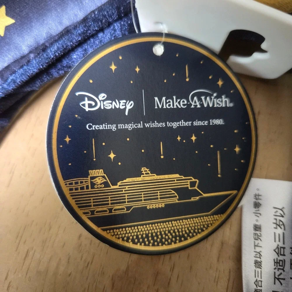 Disney cruise line